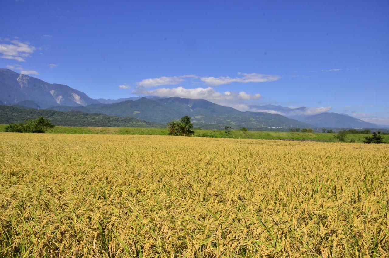 Ferienwohnung 八畝田 Bamutian Farmland 8 Mu Yuli Exterior foto